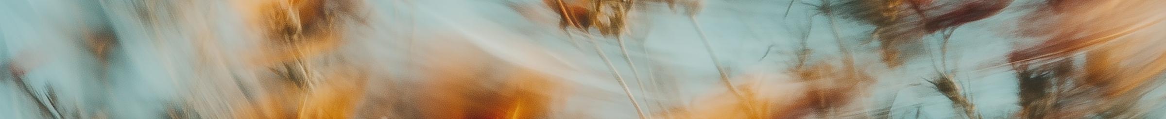Motion blur nature